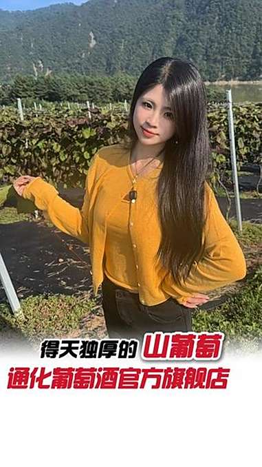 看看甜红的老家!这一片山,全是咱通葡自己的葡萄!红酒 国货之光 国产葡萄酒 微醺 通化葡萄