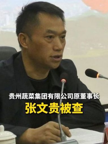 贵州蔬菜集团 贵州现代物流贵州蔬菜集团有限公司原董事长张文贵被查(来源:贵州省纪委监委网站