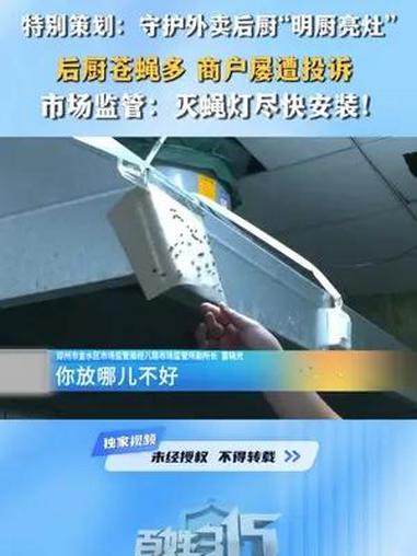 特别策划:守护外卖后厨“明厨亮灶” 后厨苍蝇多 商户屡遭投诉  市场监管:灭蝇灯尽快安装!