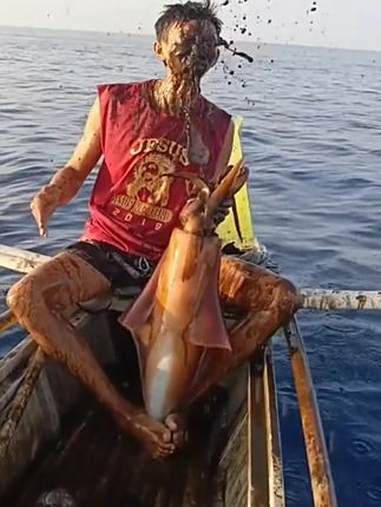 给大家分享10鱿鱼，大家吃过吗？鱿鱼 每日分享