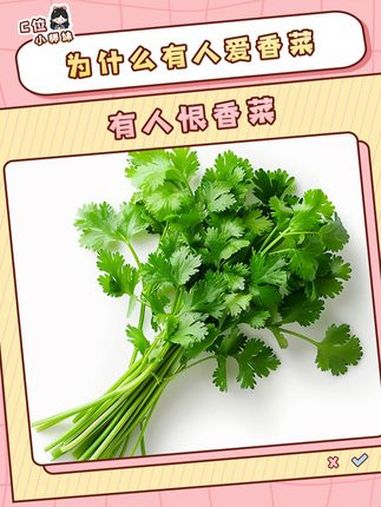 等我有钱了我要把全世界的香菜拔了 香菜 美食