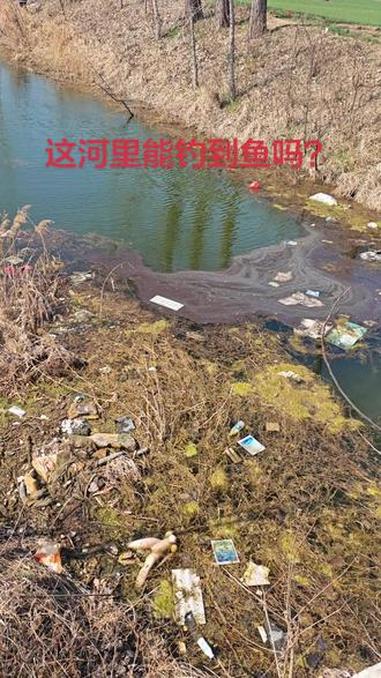 这河里能钓到鱼吗?#真实户外 #钓鱼人的天堂 #钓鱼人的精神无人能比 #用一张照片证明你是