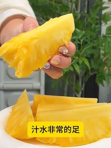 海南头茬菠萝 海绵宝宝的比奇堡它来啦 抖音美食推荐官 零食推荐 好吃到停不下来