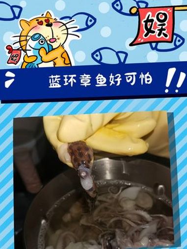 爱吃章鱼的一定要注意了 神奇动物在抖音 科普 蓝环章鱼 动物
