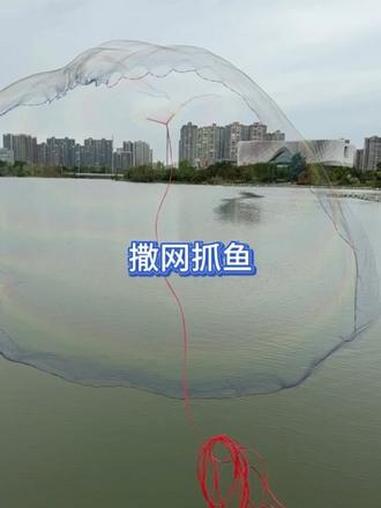 小飞网 #一把后手旋 #纯手工大力马撒网 #户外撒网捕鱼 #传统撒网 #旋网捕鱼