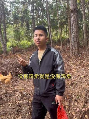 为什么我去年养了三百多只鸡却没卖一只鸡？人家一只鸡没养。却卖了几十万只？#土鸡