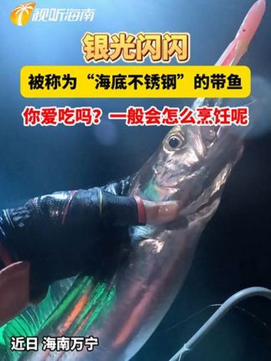 被称为“海底不锈钢”的带鱼你爱吃吗?一般会怎么烹饪呢 带鱼 美食 海鲜
