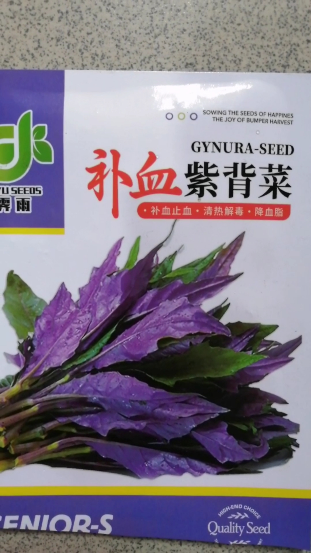 学种紫背菜,用月饼盒育苗。