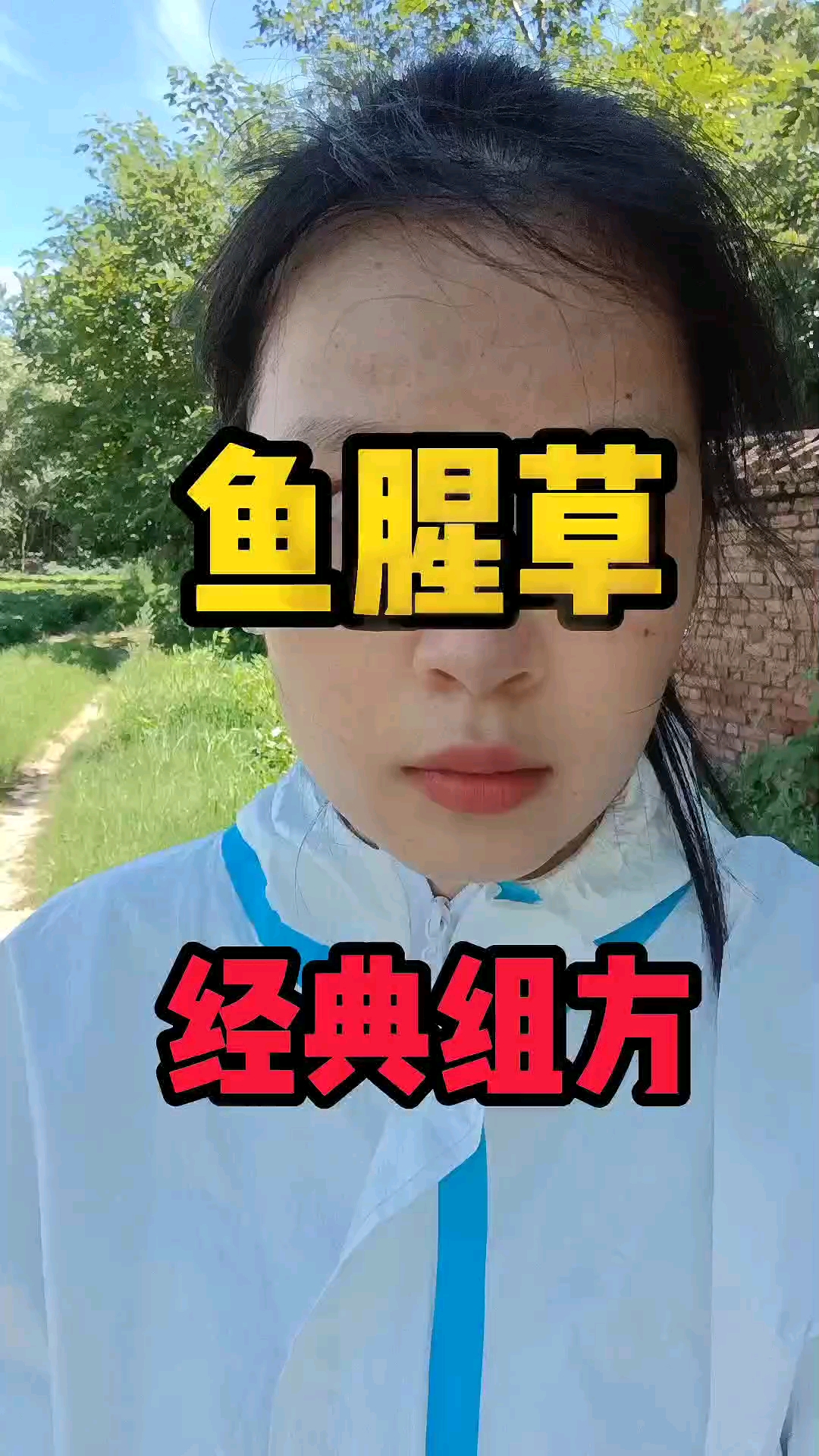 鱼腥草的经典组方!