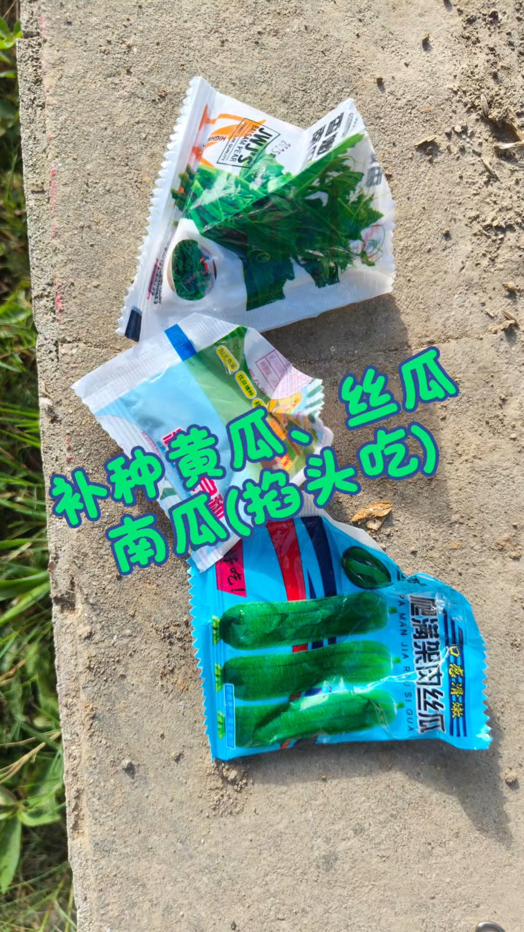 网上说现在还能补种瓜类蔬菜,这些种子开封了,咱就补种试试。