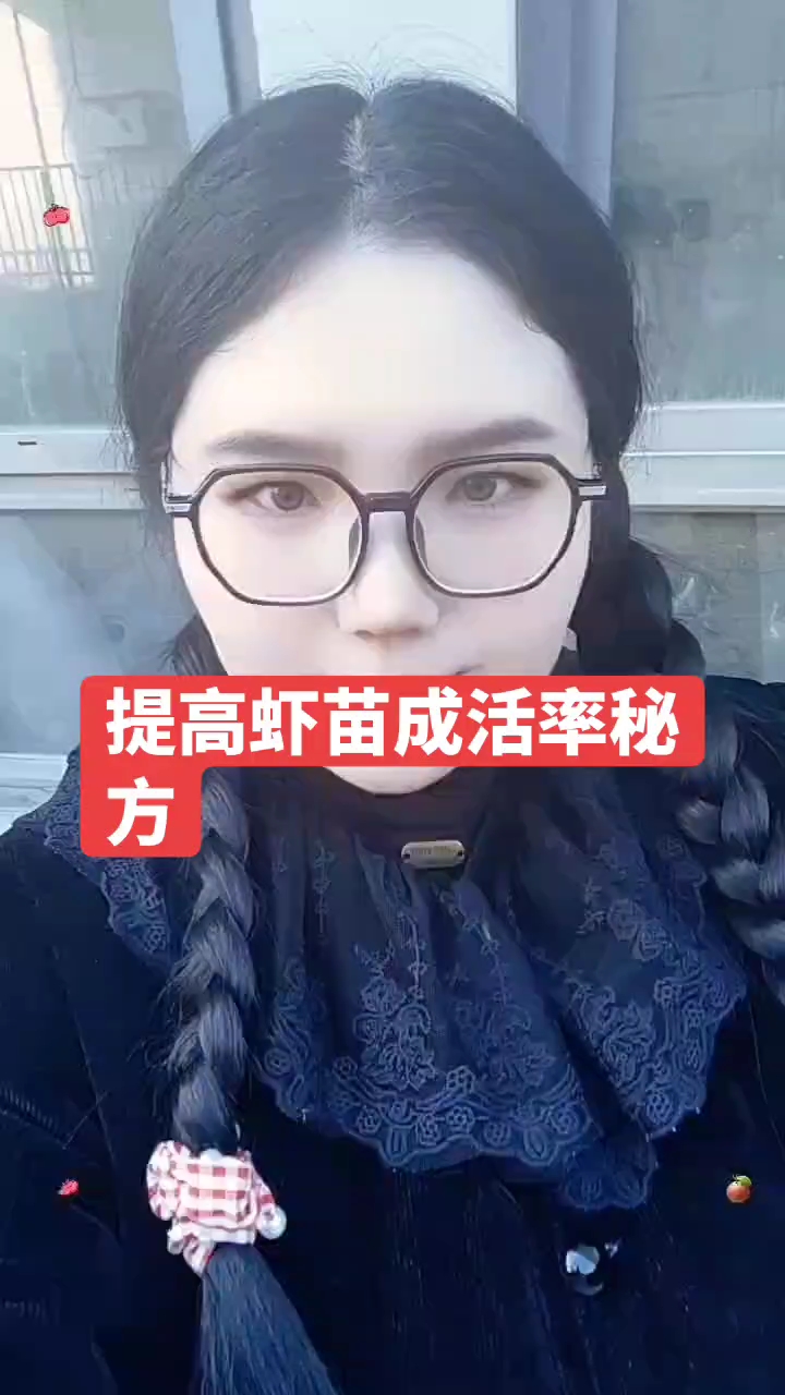 提高虾苗成活率秘方