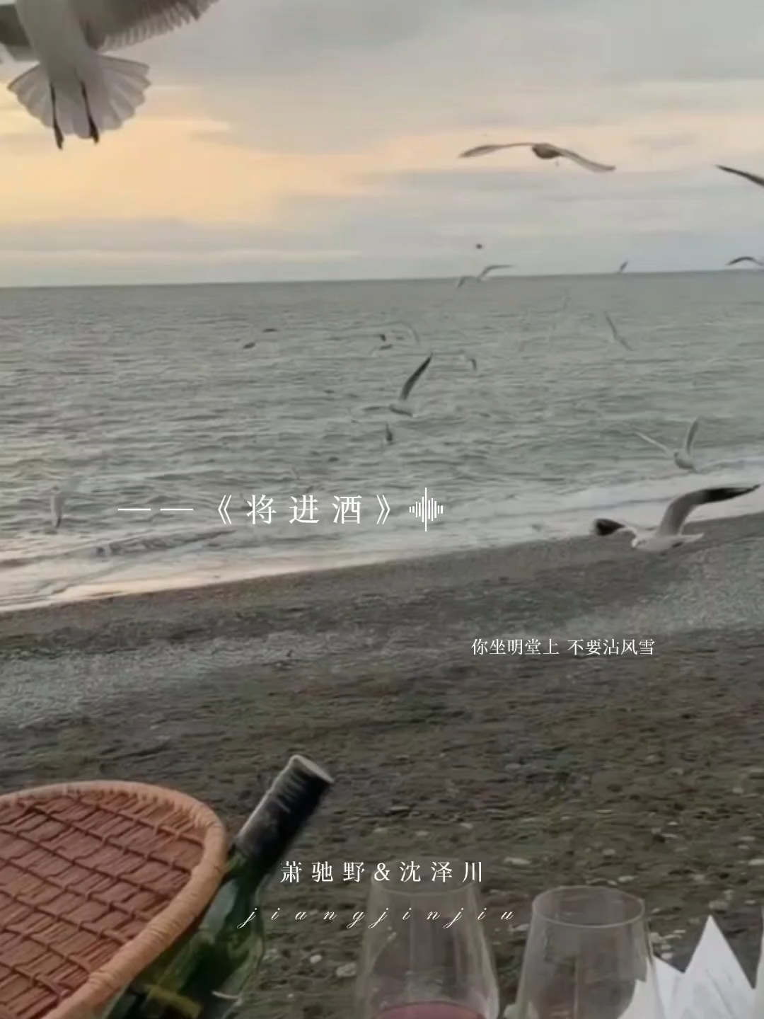 《将进酒》[萧驰野x沈泽川]『唐酒卿  著』