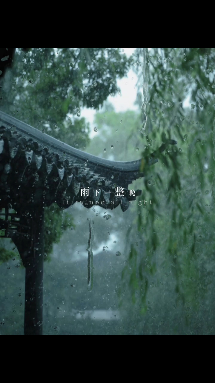 沈清秋x洛冰河