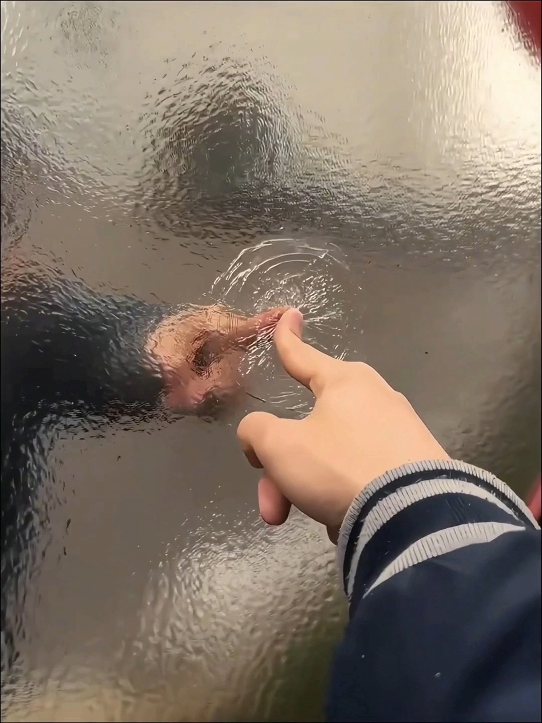 #时代少年团图片