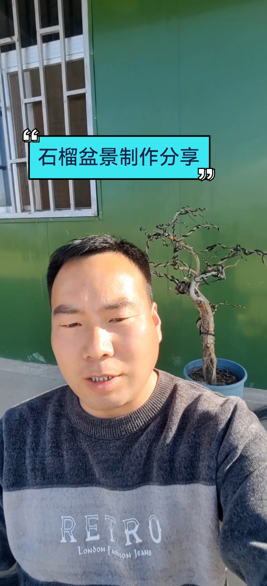 大红袍石榴盆景分享