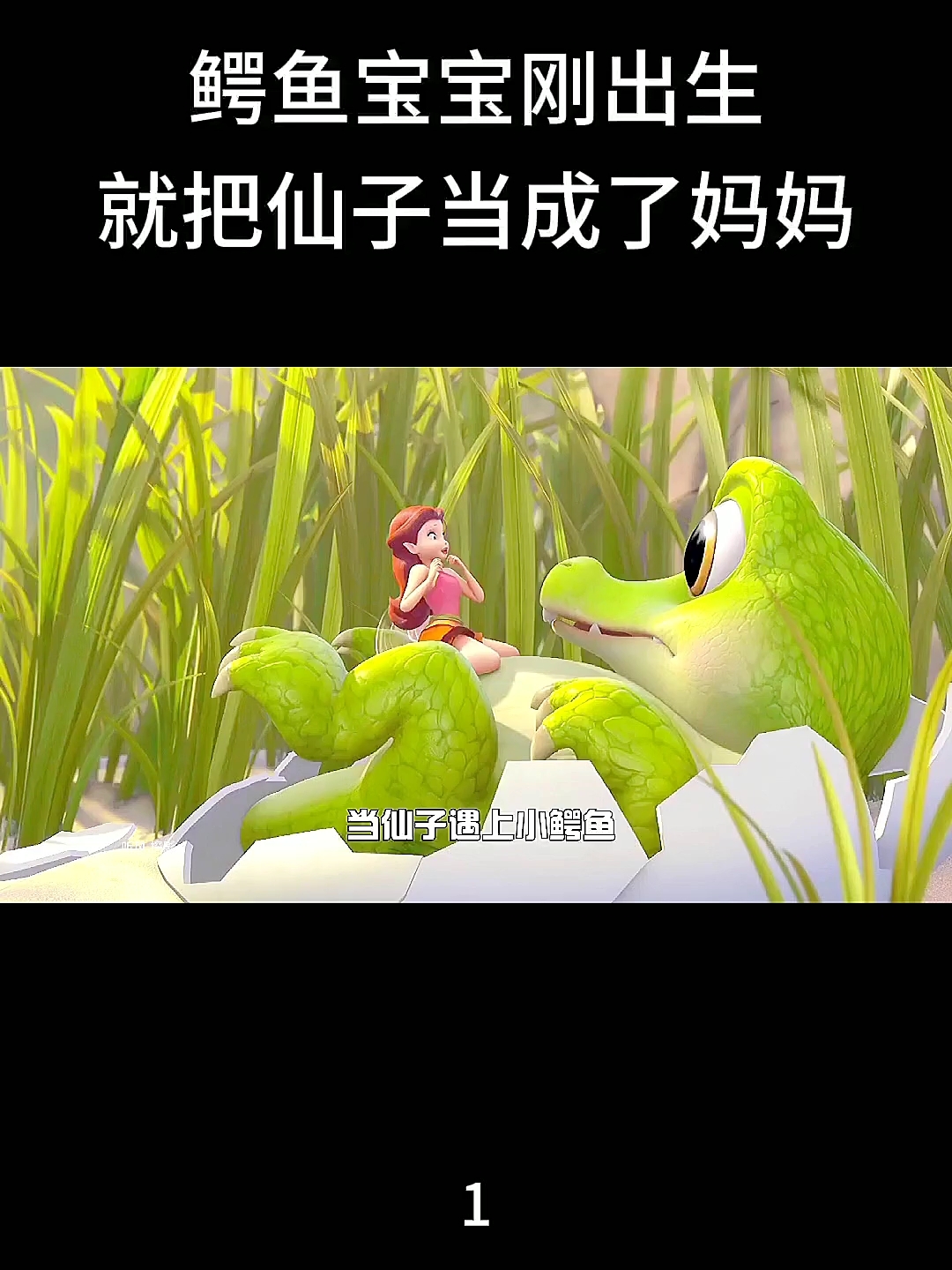 鳄鱼宝宝刚出生,就把仙子当成妈妈