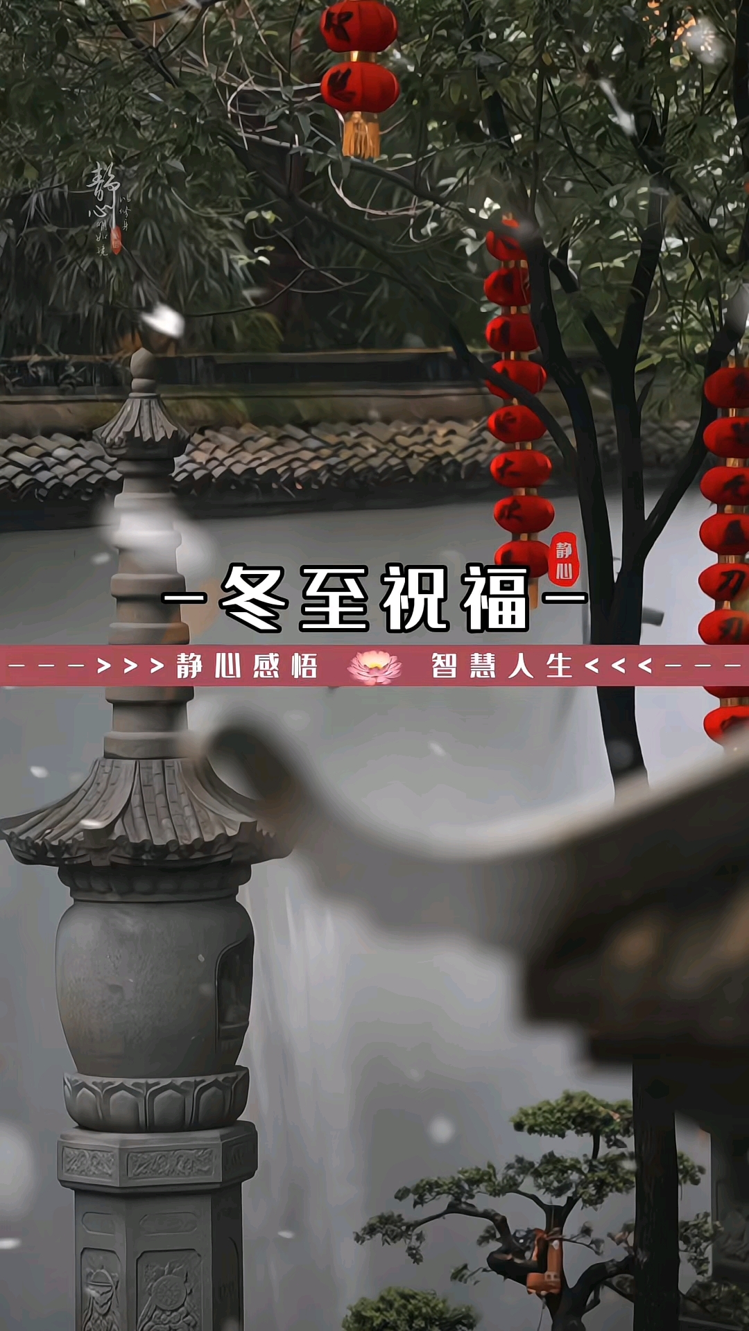 冬至的第一天祝福送给你