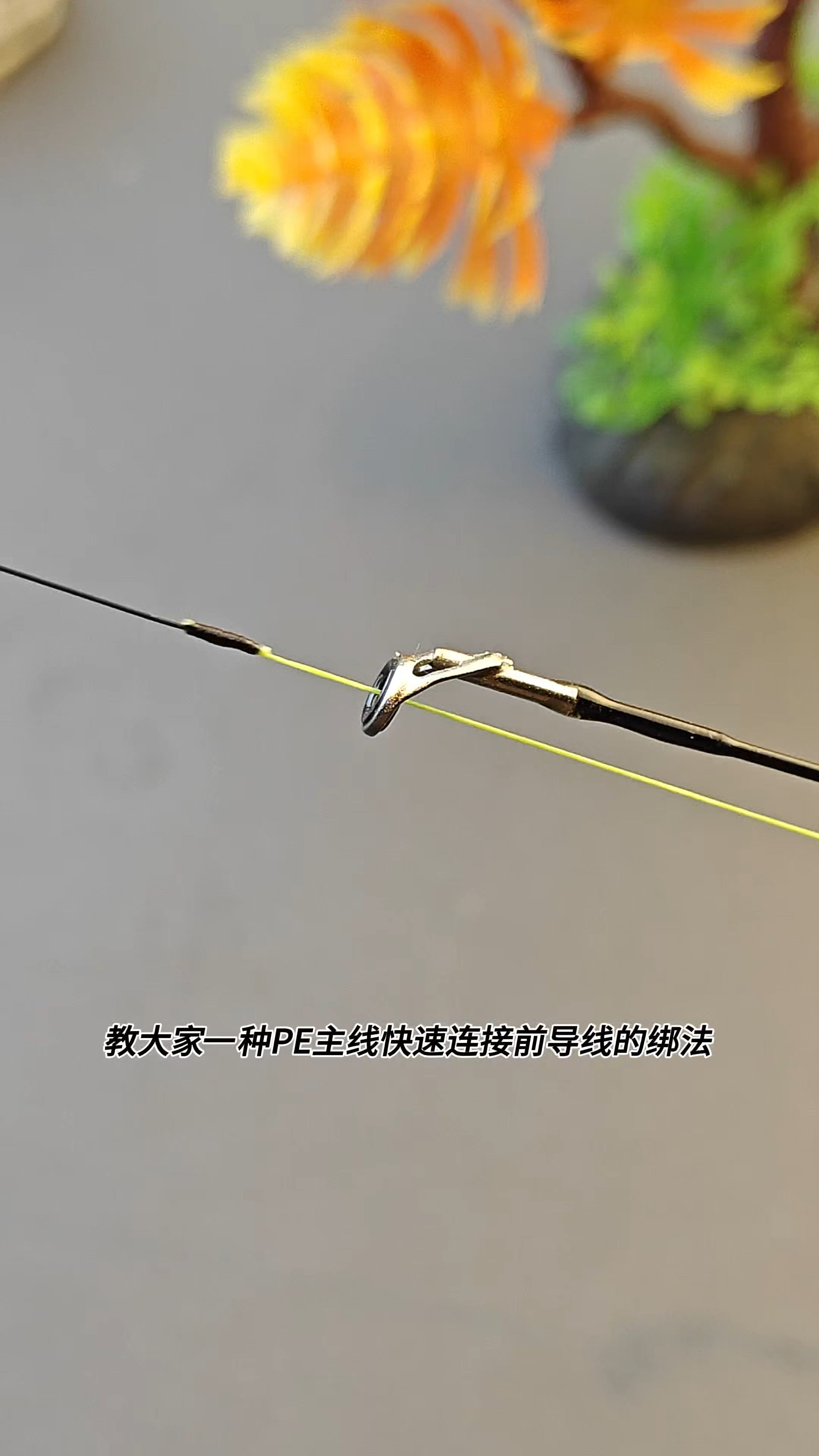 PE主线快速连接前导线绑法教程#路亚新手入门教程# #路亚前导线绑法# #路亚#