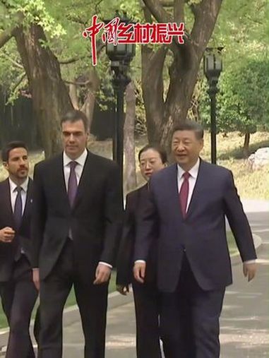 习近平主席在北京钓鱼台国宾馆会见来华访问的西班牙首相桑切斯。会见后,两国领导人一起散步,感