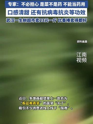“板蓝根青菜”火了 担心吃它等于吃药?专家:不必担心 是菜不是药 不能当药用口感清甜 还有