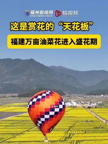 3月23日,南平浦城仙阳镇阳墩村麒麟畈,万亩油菜花田进入盛花期。油菜花