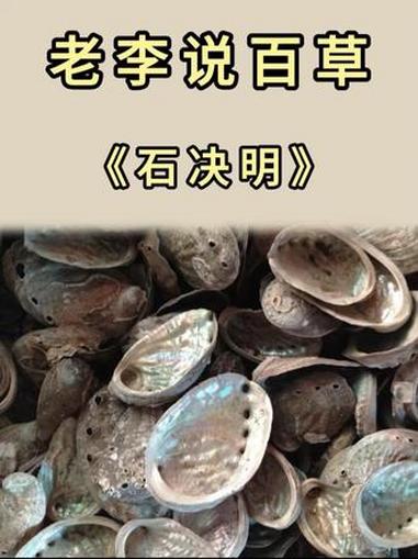见这流光溢彩的鲍鱼壳,是不是直接扔垃圾桶里了?古人的智慧 鲍鱼壳 非遗传承人 石决明 识百