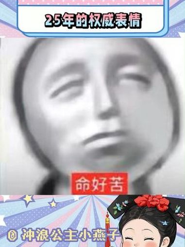 2025年我将加入这个权威的组织 权威 表情 玩梗 阴阳怪气表情包 趣味
