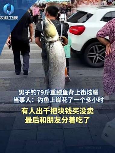 男子钓79斤重鱤鱼背上街炫耀,当事人:钓鱼上岸花了一个多小时。有人出千把块钱买没卖,最后和