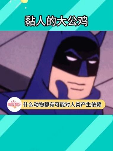 宝宝是一只黏人还懂得分享的大公鸡 大公鸡 可爱