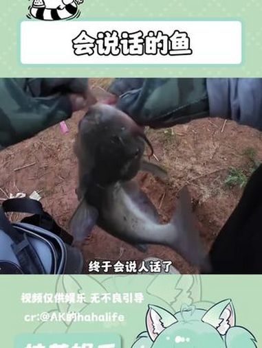 鱼:不放就不放打我干啥呀 钓鱼 搞笑 万万没想到 抽象 娱乐评论大赏