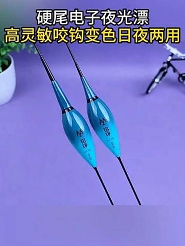 这款鸽子蛋日夜两用夜光漂,抗风浪效果显著,而且灵敏度非常高!电子漂 浮漂鱼漂 鱼具 咬钩变
