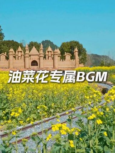 春天拍油菜花,当然要配上 油菜花专属BGM!湖南旅游 油菜花 三湘四水相约湖南