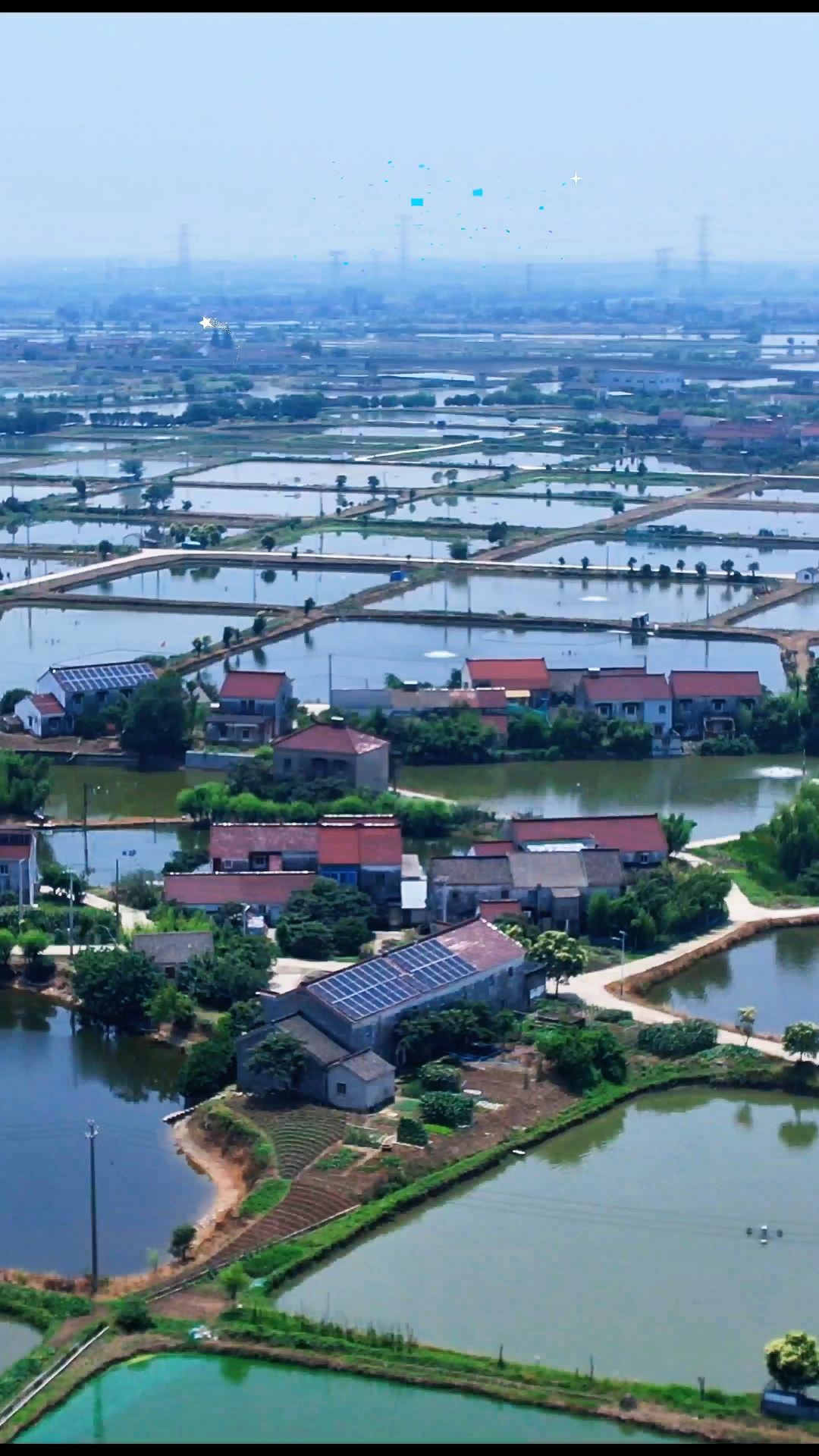 看看江南的鱼米之乡，靠山吃山靠水吃水养鱼也能发家致富#湖州