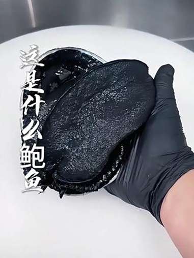 带你认识各种鲍鱼 海鲜美食 食材 活鲍鱼 海鲜