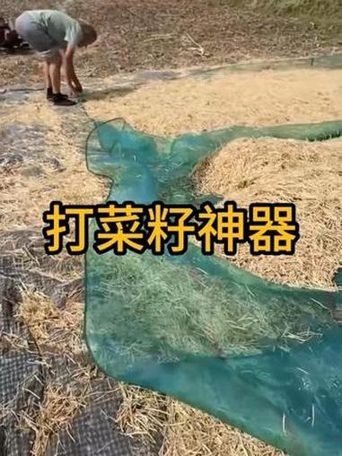 打菜籽神器新发明油菜籽过滤网可折叠鱼干晾晒网打油菜籽收集神器 #打菜籽 #打菜籽的季节 #