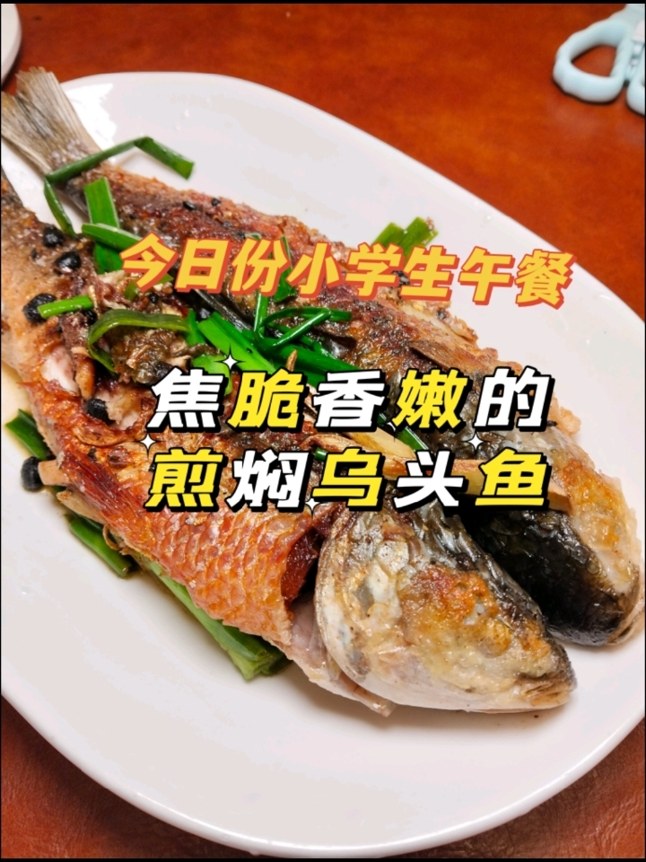 今日份小学生营养午餐:煎焖乌头鱼