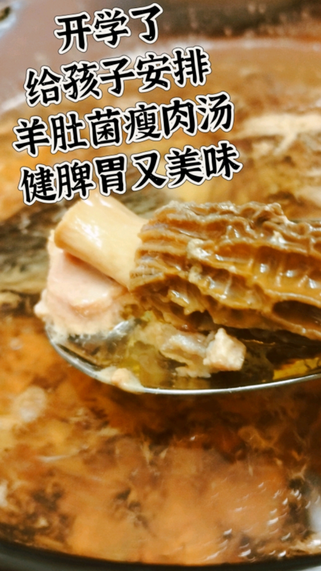 今日份小学生营养午餐:羊肚菌瘦肉汤,健脾养胃!开学了