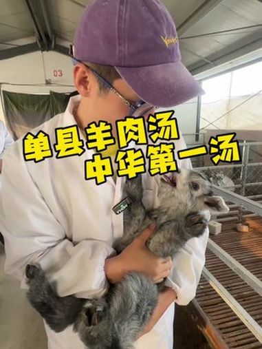 二刷菏泽直接来到单县,一起见证一只青山羊是如何变成一碗中华第一汤——单县羊肉汤!为中国小城