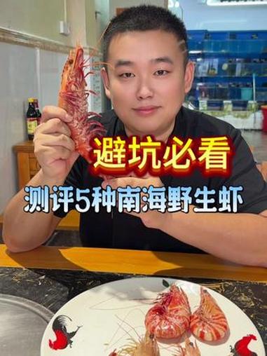 避坑必看!南海5种野生海虾的口味测评 看完就知道在市场是选哪种海虾吃了#虾 #野生虾 #西