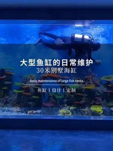 来看看这个别墅大型海缸的工作日常是怎样的?别墅鱼缸设计 鱼缸定制 亚克力鱼缸 大型鱼缸制作