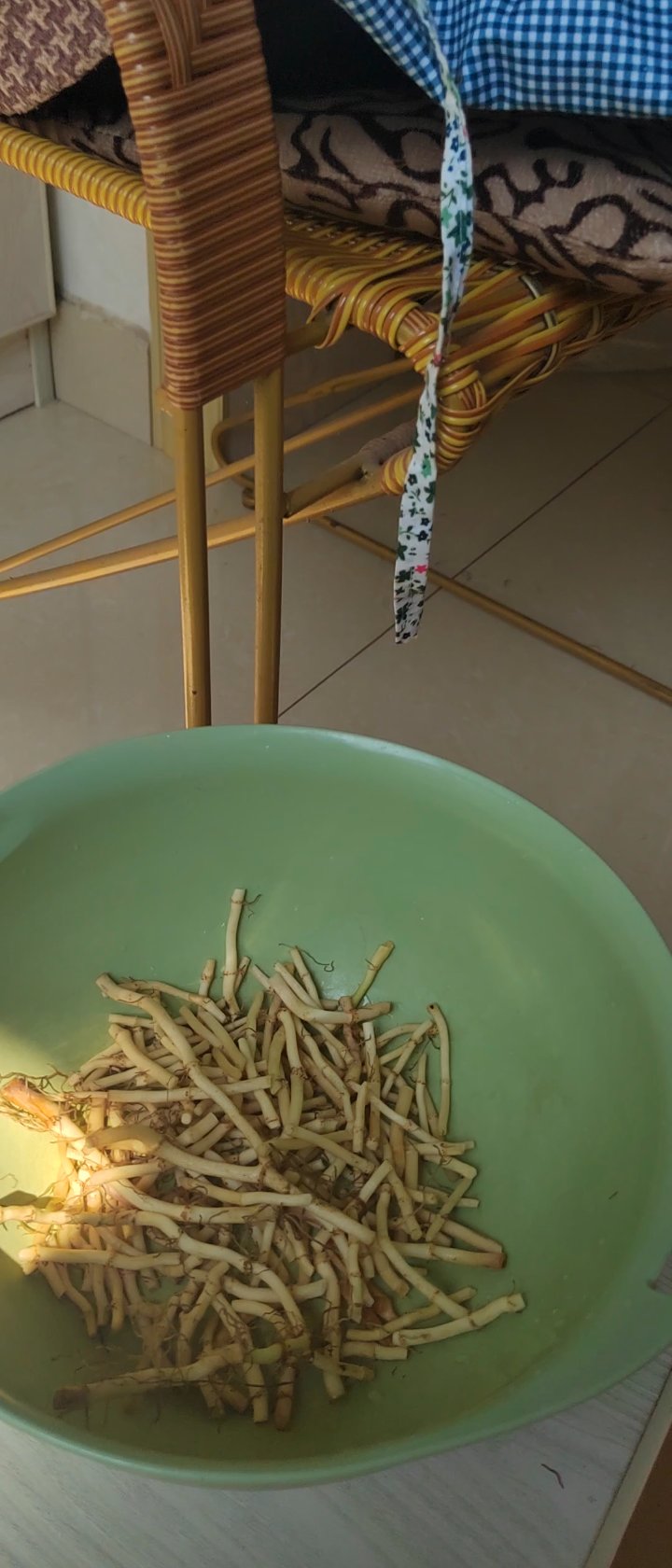 鱼腥草可以多吃吗