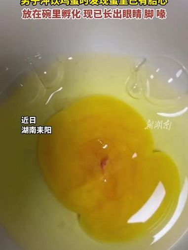 男子冲饮鸡蛋时发现蛋里已有胎心,放在碗里孵化现已长出眼睛脚喙
