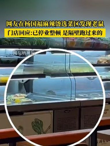 3月18日,有网友发视频称,在江苏苏州的杨国福麻辣烫印象城店发现老鼠。杨国福麻辣烫 315