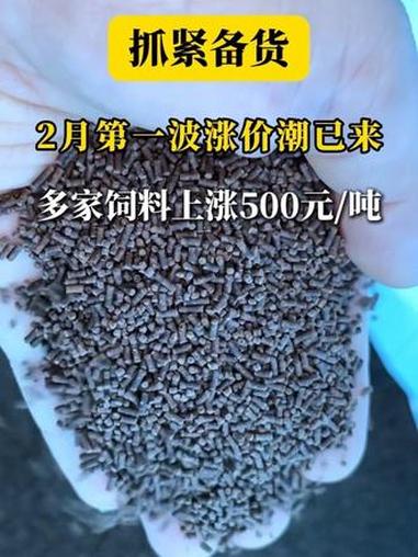 马年开年饲料迎新一轮上涨?多家头部饲料企业在华东市场上调沼虾料价格,提醒养殖户、经销商抓紧