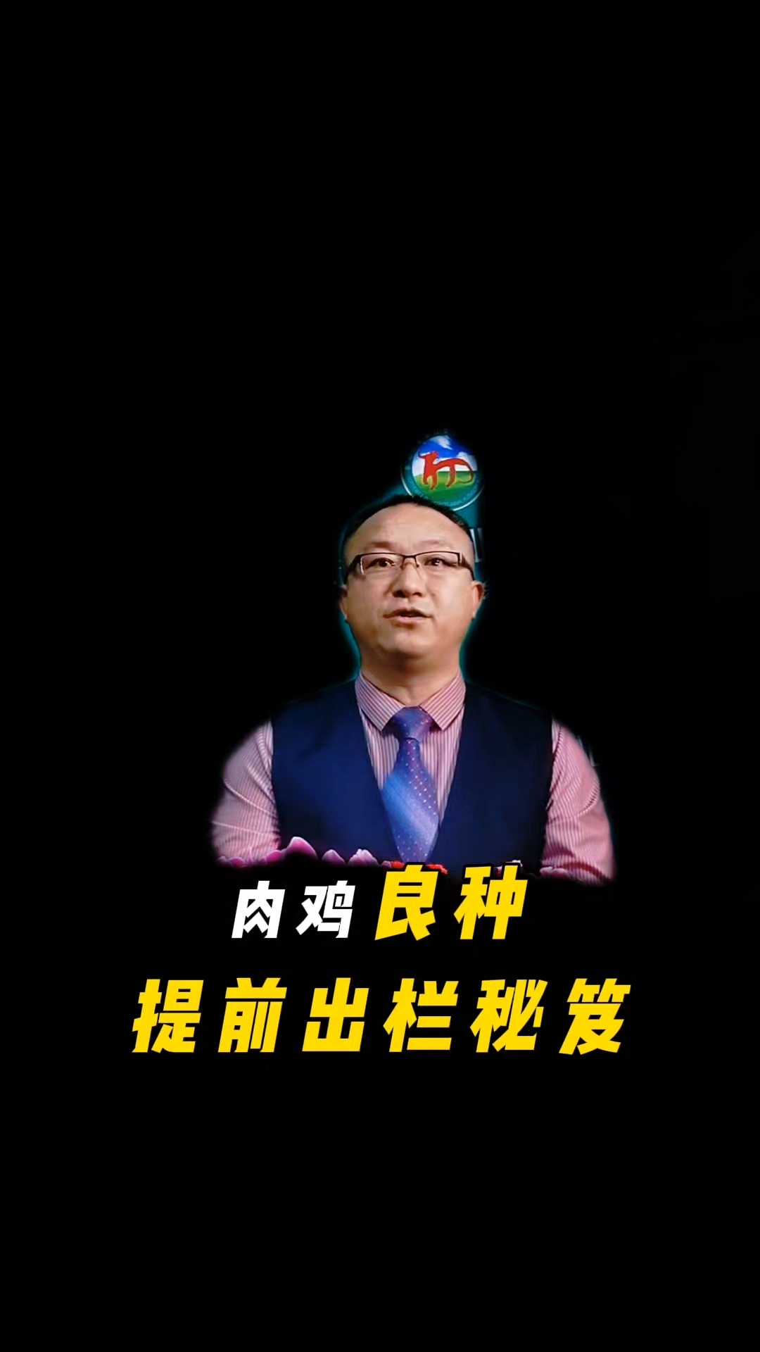 肉鸡良种,提前出栏秘笈,尽在牧博会