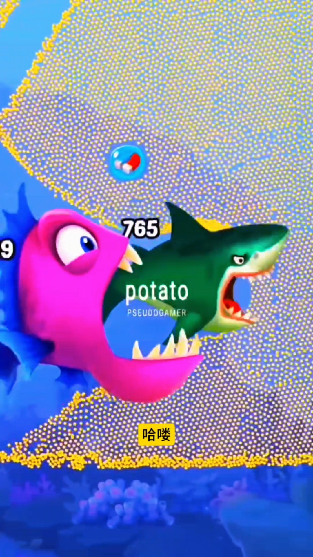 小鱼好悲催啊,想快快长大见主人,结果却被更大的鲨鱼吃掉了