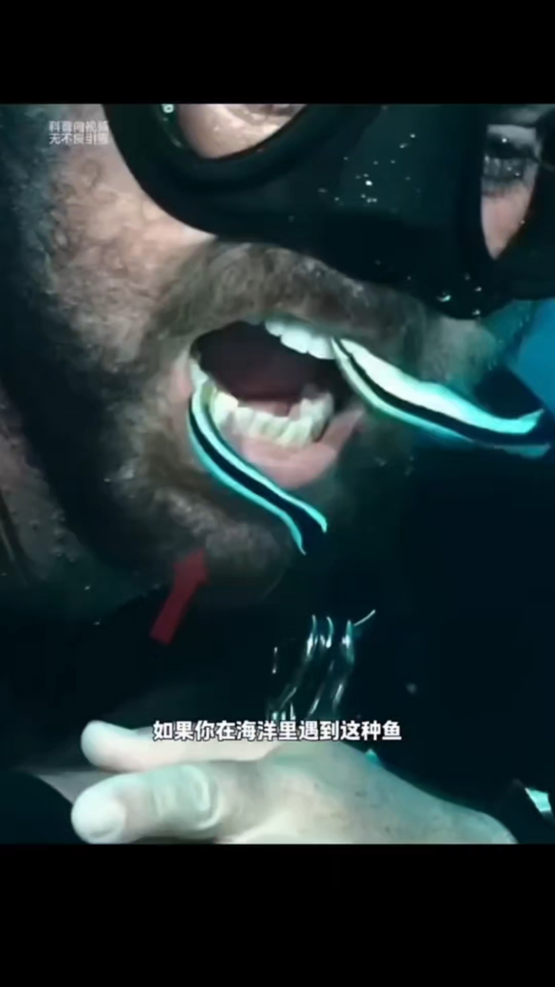 这种鱼太神奇了，居然能帮人清洁牙齿？