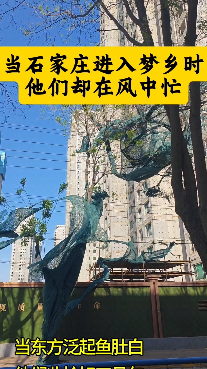 当东方泛起鱼肚白他们收拾好工具包把昨夜的疲惫藏进后备箱不必说