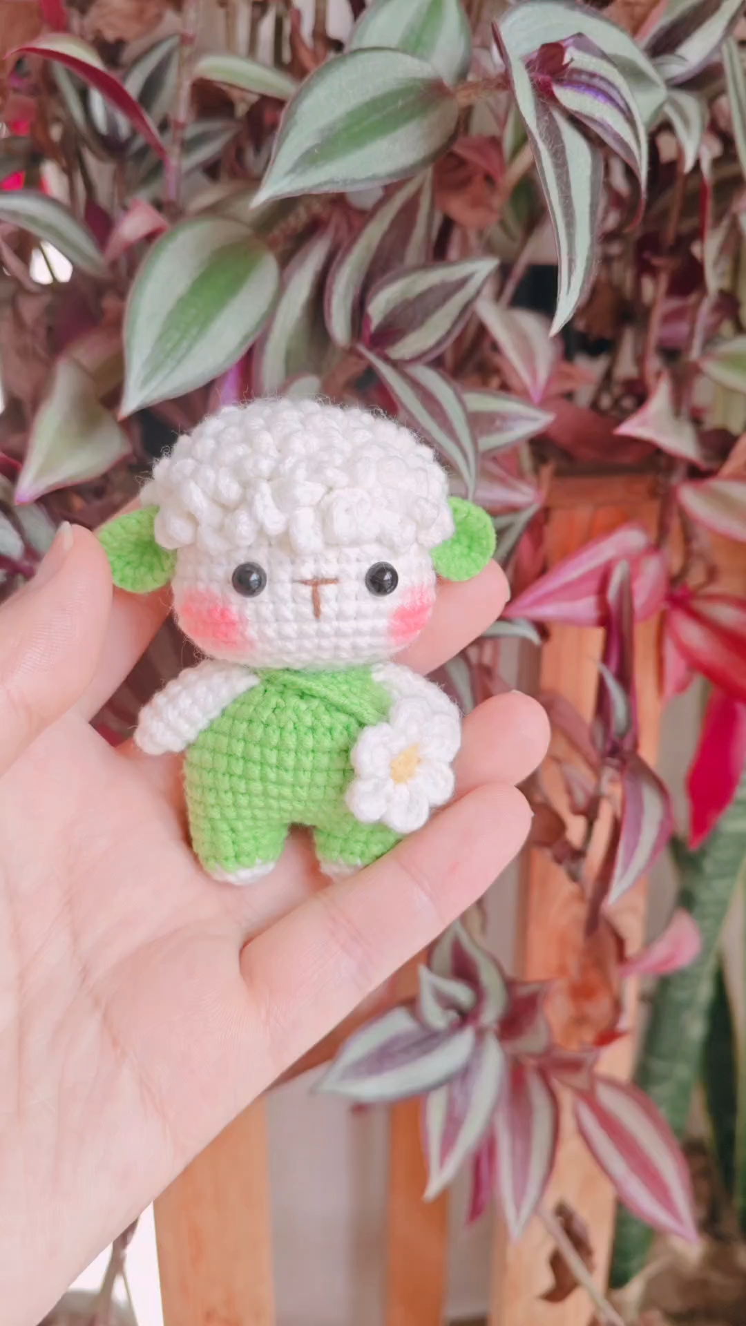 新配色生肖羊#小羊钩织萌物# #绿植旁的毛线小羊# #手工钩针小可爱#