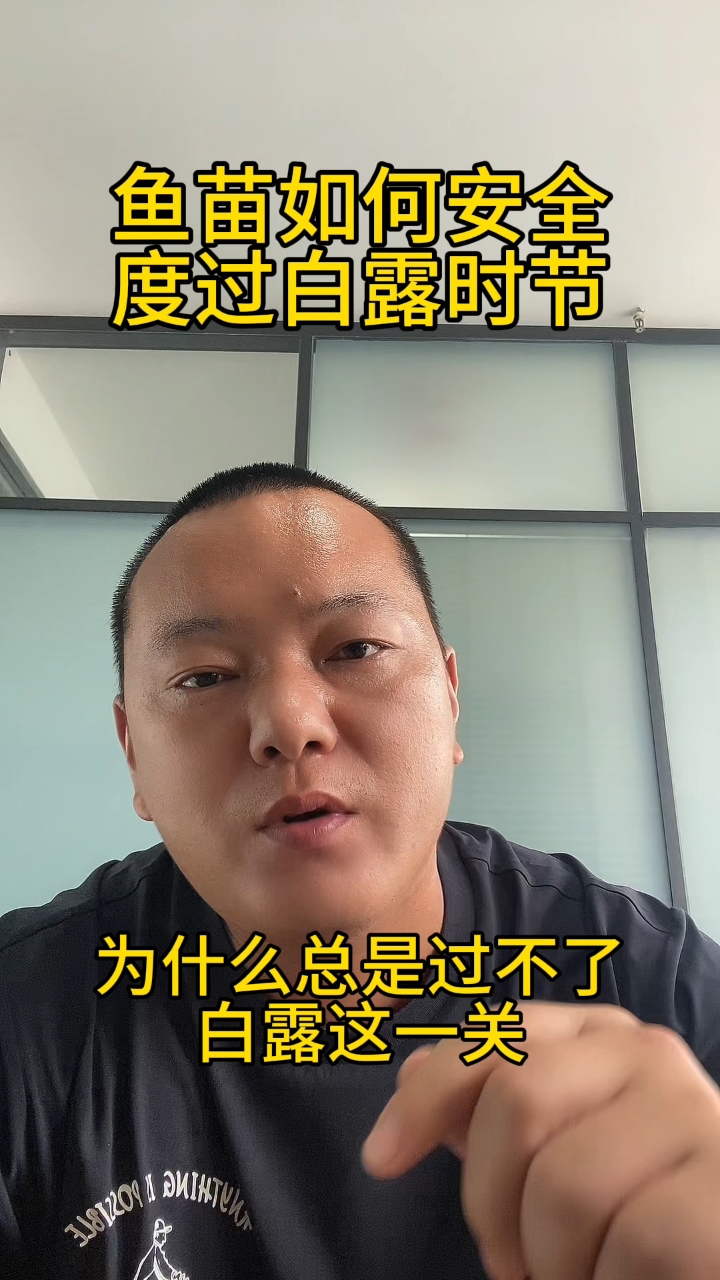 鱼苗养殖